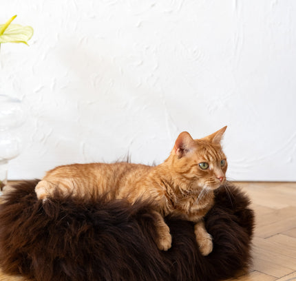 Round Natural Sheepskin Pet Bed - Brown-1
