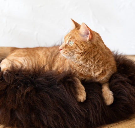 Round Natural Sheepskin Pet Bed - Brown-0