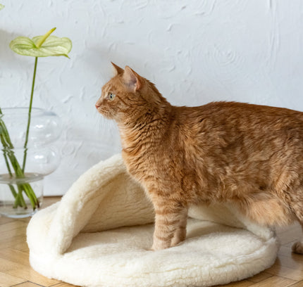 Natural Wool Pet Cave - White-2