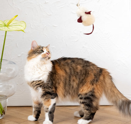 Natural Sheepskin Cat Toy: Mouse-3