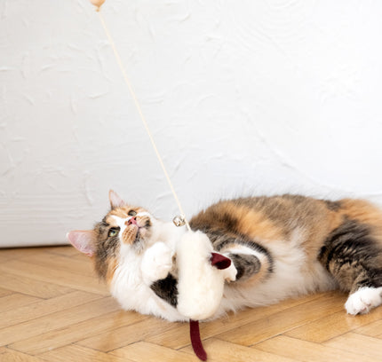 Natural Sheepskin Cat Toy: Mouse-1