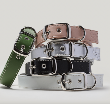 Classic black vegan apple leather dog collar