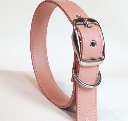 Blush pink vegan apple leather dog collar-0