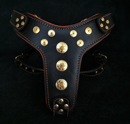 'Bijou'' harness Black & Orange for big dogs