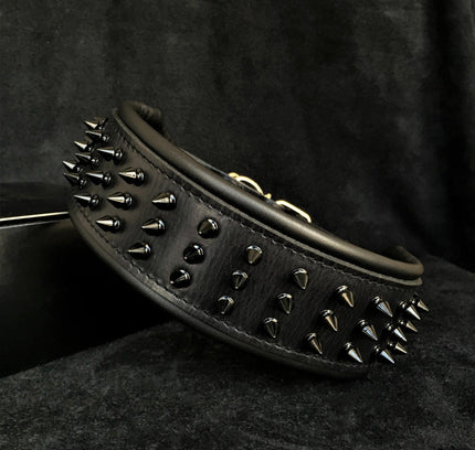 'Black Giant'' collar-0