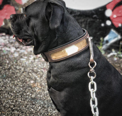 "Buffalo" collar-2
