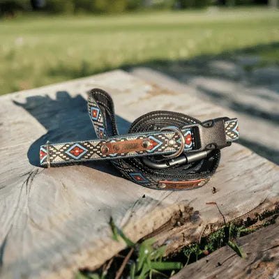Designer's Whimsical Charm Handmade Dog Collar for Medium dogs-3