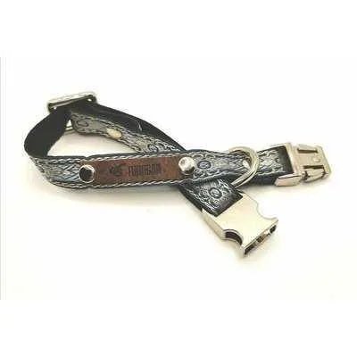 Finnigan's "The Archie" Whimsy & Strength Dog Lead-4