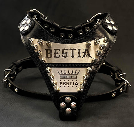 The "Metal" harness small to medium size - Personalized