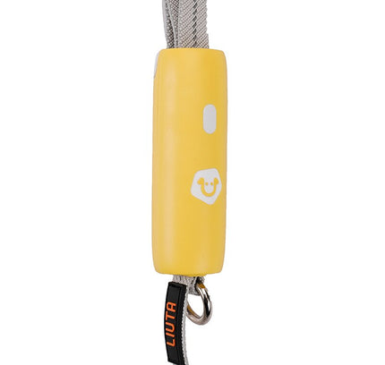 Pet Dogs Leash Running Elasticity Hand Freely Pets Training Products Dog Harness Collar Jogging Lead Adjustable Waist Rope-2