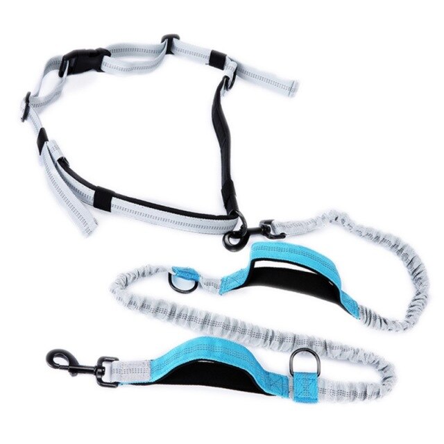 Leash Traction Rope Pet Dog Running Belt Elastic Hands Freely Jogging Pull Dog Leash 2 Colors-4