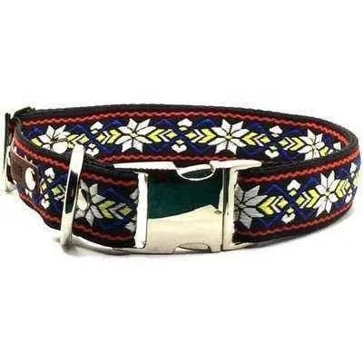 Regal Paws Personalised Large Dog Collar-1