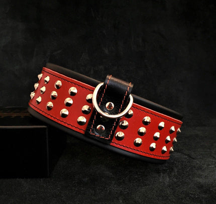 "Star" collar-2