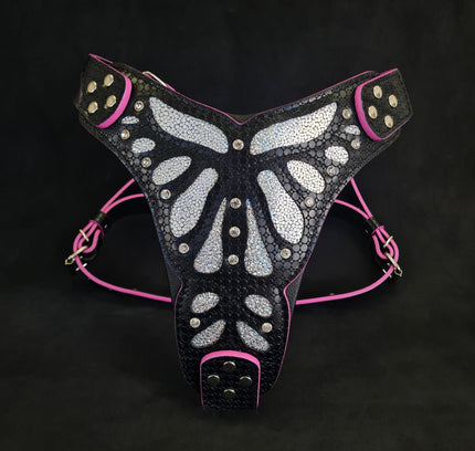 The ''Ariel'' harness-0