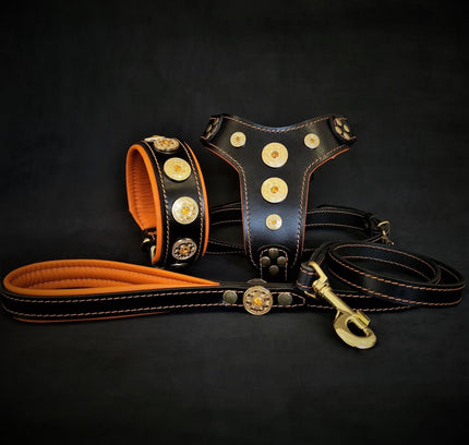 The ''Bijou'' SET -  Collar, Harness, Leash. Orange