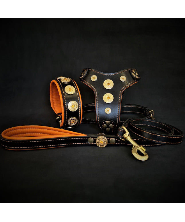 The ''Bijou'' SET -  Collar, Harness, Leash. Orange