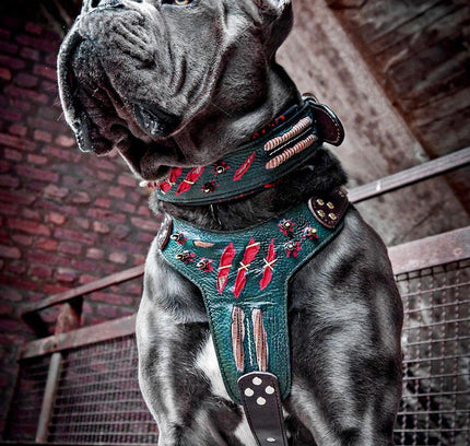 The ''Haunted'' harness LIMITED-1