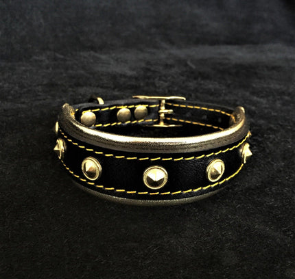 The "Maxi" collar-0