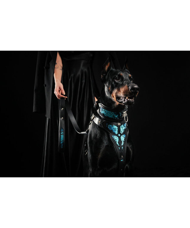 The ''Morelia Python'' harness