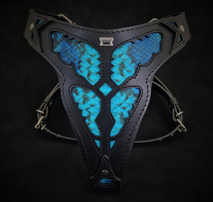 The ''Morelia Python'' harness
