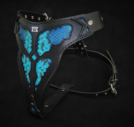 The ''Morelia Python'' harness