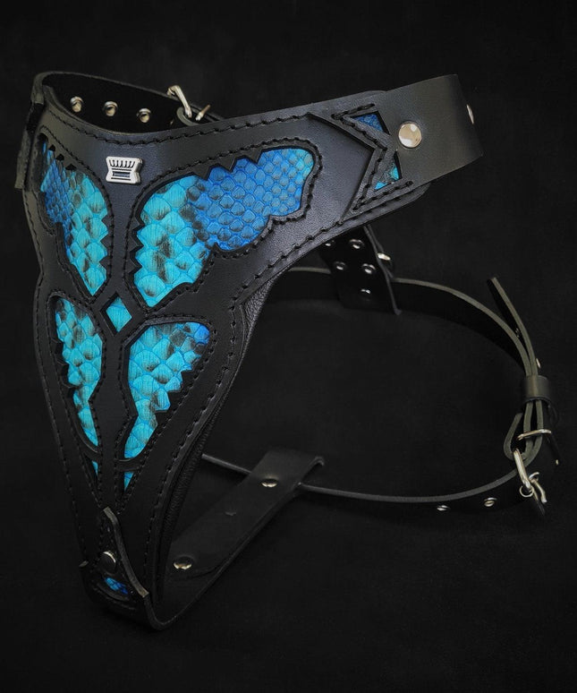 The ''Morelia Python'' harness
