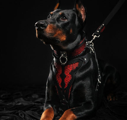 The ''Red Dragon'' collar-2