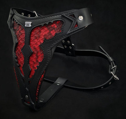 The ''Red Dragon'' harness-1