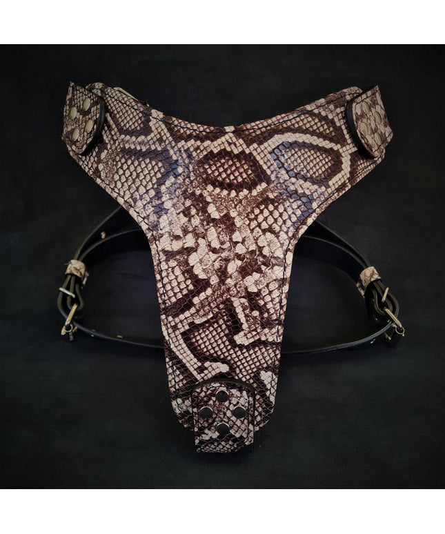 The ''Rock Python'' harness