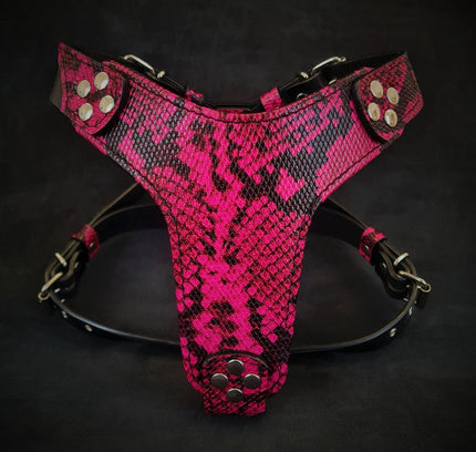 The ''Rock Python'' harness Small to Medium Size