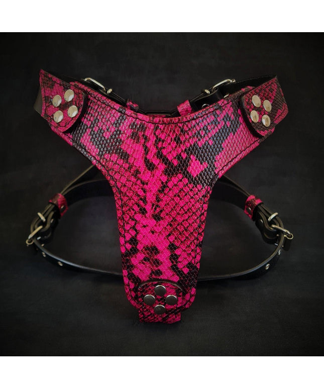 The ''Rock Python'' harness Small to Medium Size