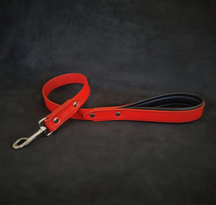 The "Style" leash-1