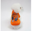 Music Sweater Orange / S