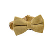 Bow3 / XS