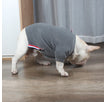 Grey / 2XL