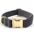 Halsband mit goldener Schnalle