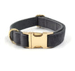 Halsband mit goldener Schnalle / Größe