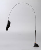 Black feather