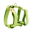 Dog gilet4 / XS