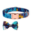 Blue Snake Flower / S