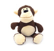 Orang-Utan