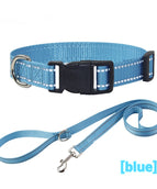 Seilhalsband Blau
