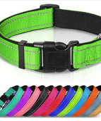 Fluorescent Green