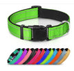 Fluorescent Green / XS