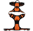 Orange / L