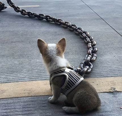 Giant Chain Dog Leash – Humorous Accessory