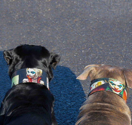 The Harley Limited Collar-3