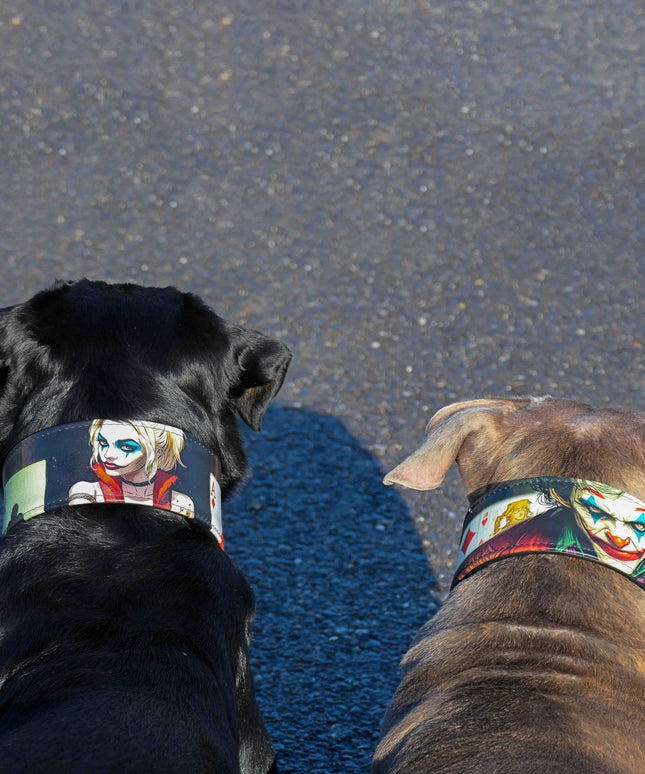 The Harley Limited Collar-3