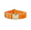 Dog pen3 / XS