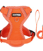 Einfaches Orange